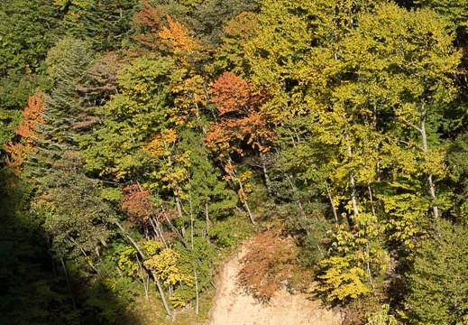 201210160801-DSC06265.jpg
