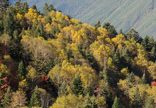 201210160918-DSC06351.jpg