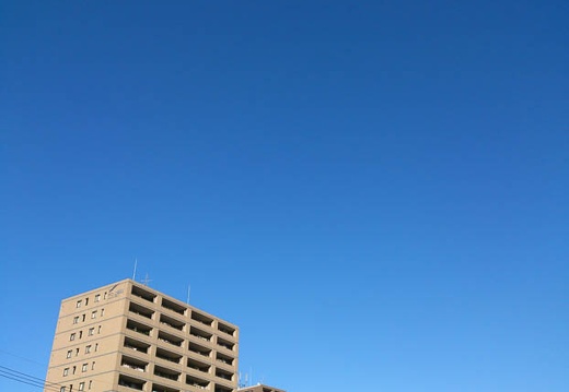 10.19