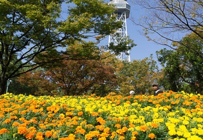 201210211259-DSC04391N.jpg