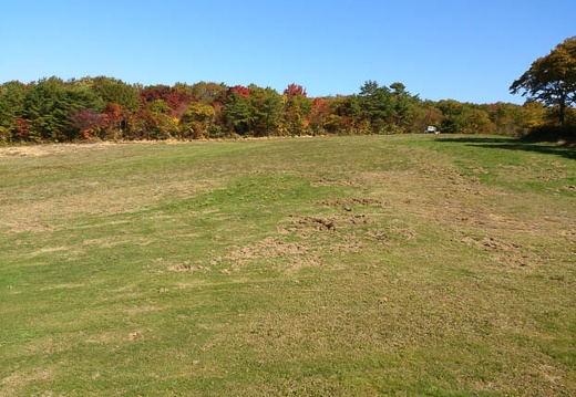 20121022100155-SO-04D.jpg