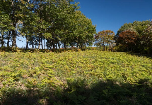 201210221005-DSC07190.jpg