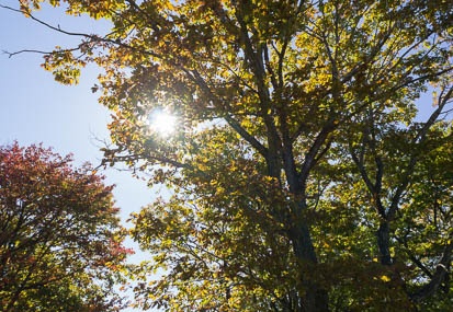 201210221009-DSC04576N.jpg