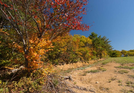 201210221022-DSC07233.jpg
