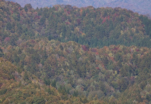 201210221049-DSC07305.jpg