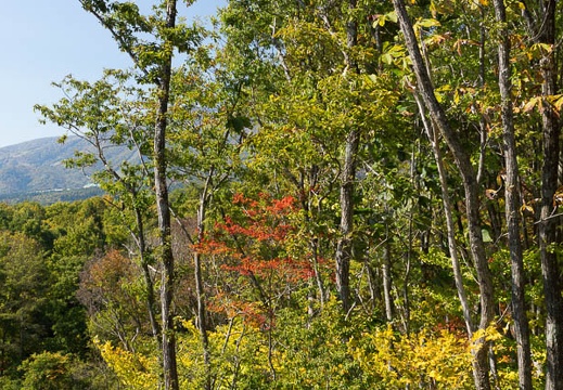 201210221139-DSC07395.jpg
