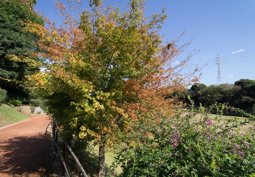 201210241147-DSC04891N.jpg