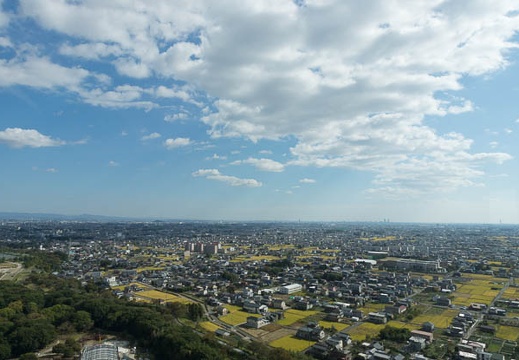 201210241332-DSC07809.jpg
