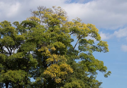 201210241413-DSC07892.jpg