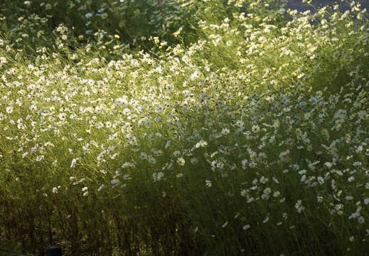 201210241420-DSC07905.jpg