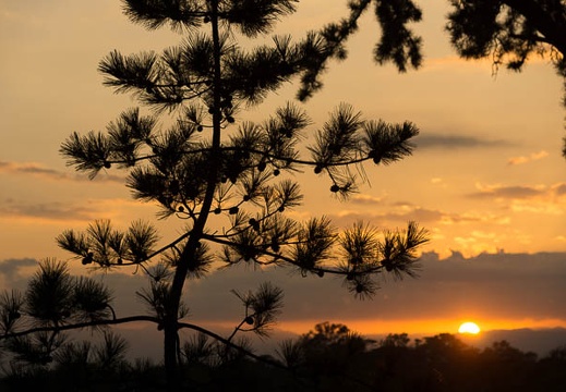 201210260624-DSC08326.jpg