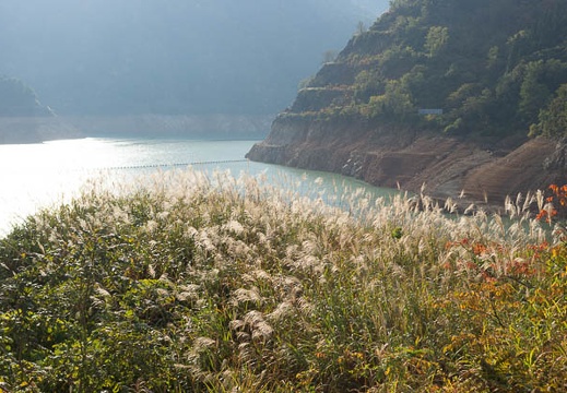 201210260818-DSC08393.jpg