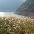 201210260818-DSC08393.jpg