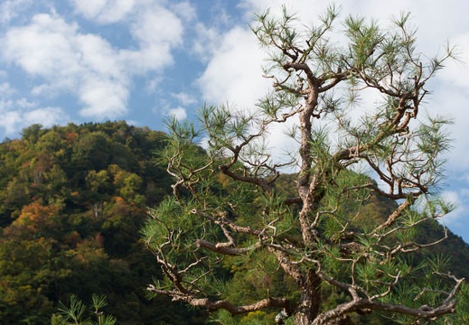 201210260820-DSC08401.jpg