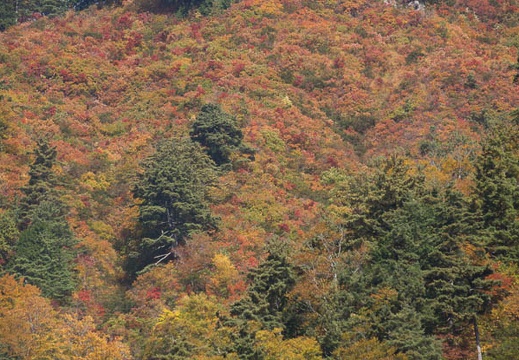 201210260959-DSC08566.jpg