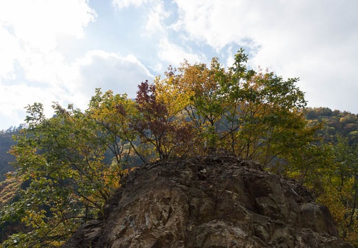 201210261056-DSC08676.jpg