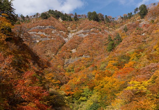 10.26 白山スーパー林道