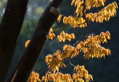201210291442-DSC09091.jpg