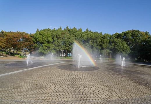 201210291443-DSC05249N.jpg