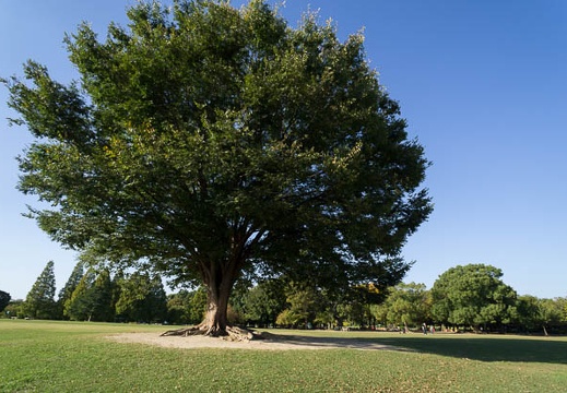 201210291449-DSC05260N.jpg