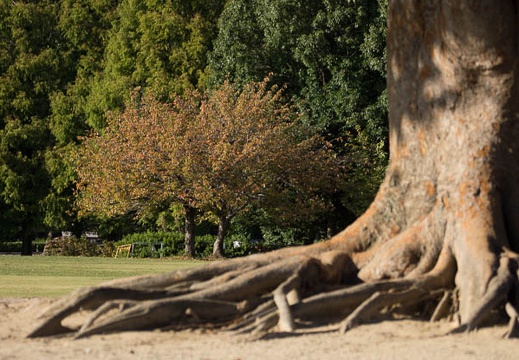 201210291450-DSC09102.jpg