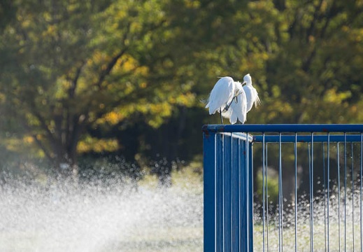 201210291505-DSC09116.jpg