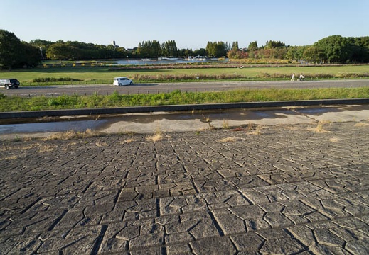 201210291543-DSC05318N.jpg