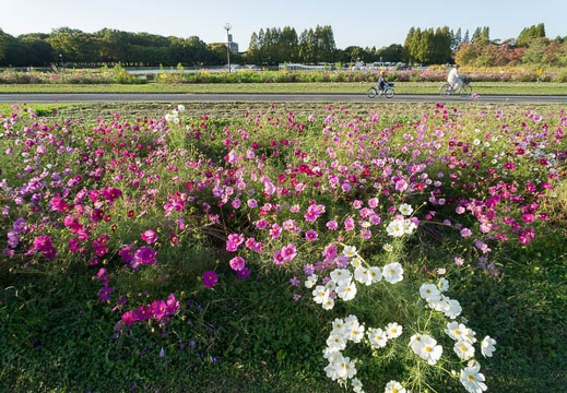 201210291548-DSC05321N.jpg