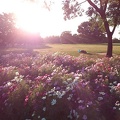 20121029161319-SO-04D.jpg
