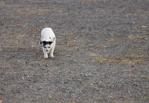 201210301517-DSC09316.jpg