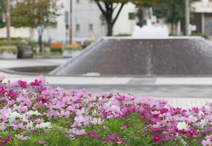 201210301526-DSC09328.jpg