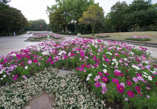 201210301527-DSC05360N.jpg