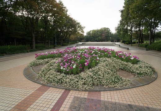 201210301529-DSC05365N.jpg
