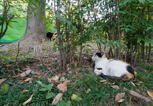 201210301550-DSC05387N.jpg