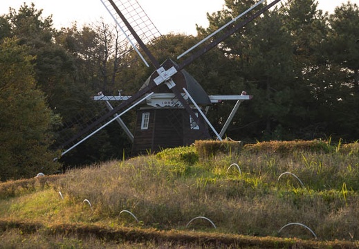 201210301603-DSC09421.jpg