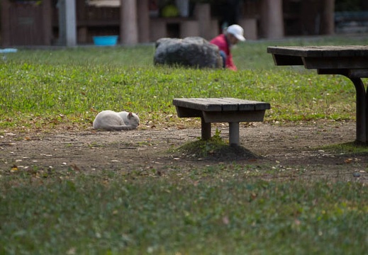 201210301603-DSC09422.jpg
