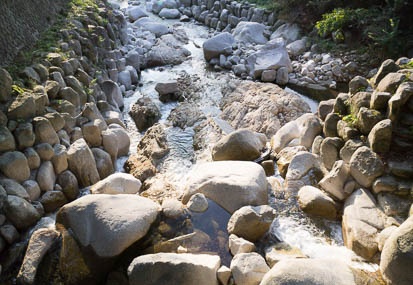 201210310732-DSC05436N.jpg