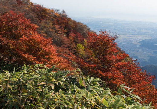 201210310937-DSC09579.jpg