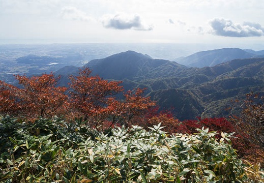 201210310956-DSC05517N.jpg