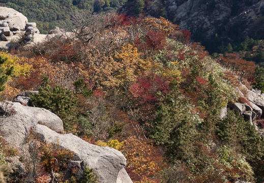 201210311006-DSC09663.jpg