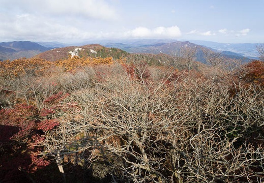 201210311019-DSC05535N.jpg