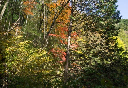 201211021233-DSC05703N.jpg