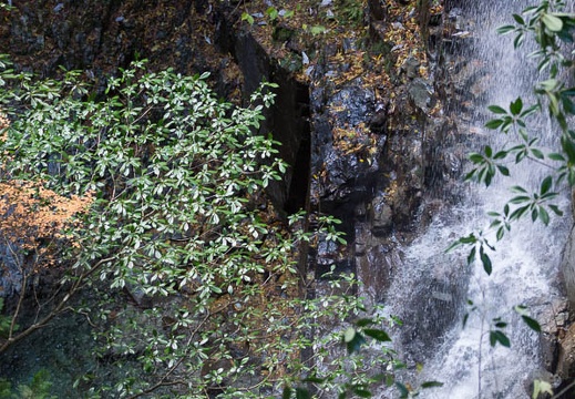 201211021234-DSC00151.jpg