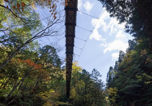 201211021239-DSC05717N.jpg