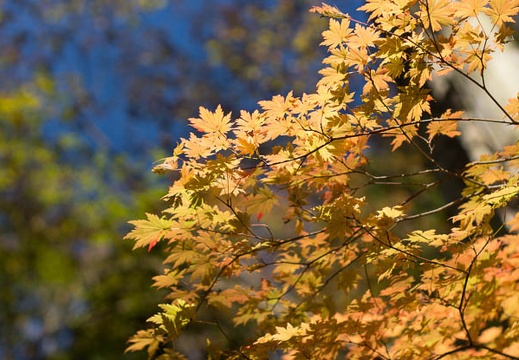 201211021300-DSC00181.jpg