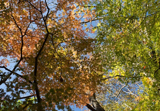 201211021303-DSC00188.jpg