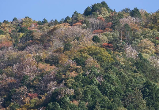 201211021337-DSC00259.jpg