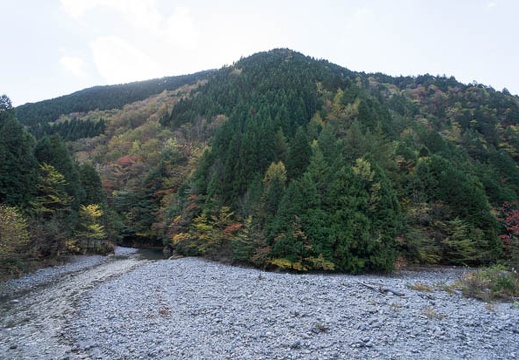 201211021340-DSC05805N.jpg
