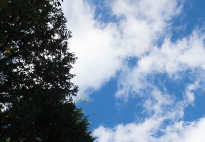 201211021348-DSC00276.jpg
