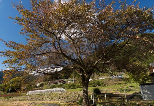 201211021435-DSC00354.jpg